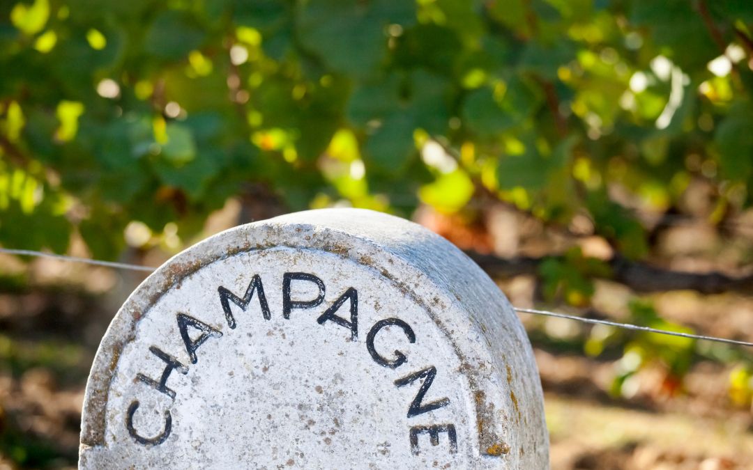 Sekt vs. Champagner – (k)ein Unterschied