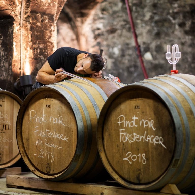 Niko Brandner, Griesel Sekthaus