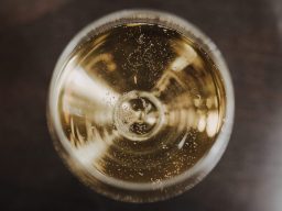 Prickelnder Sekt im Glas copyright: nicole Wolbers